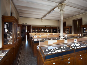 285635_musee-de-mineralogie-collection-de-paleontologie